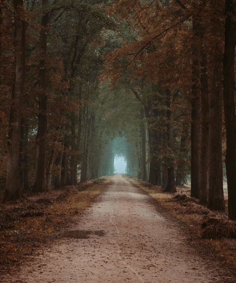 A path through changing landscape — therapy for stress and life transitions with Dr. Sepida Sazgar, California psychologist
